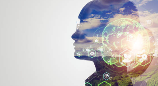 Innovation Et Durabilité Banque dimages et photos libres de droit iStock Google Chrome 03 03 2025 15 55 58