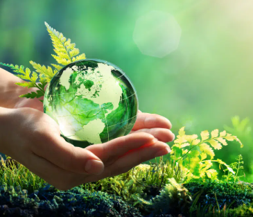 L’investissement responsable poursuit sa croissance 