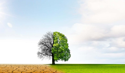 Epopée Infra Climat Co-invest I référencé chez Generali