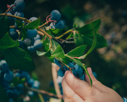 Capture décran 2024 02 07 à 14.44.47