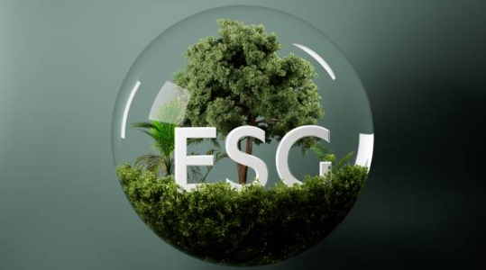Esg Banque dimages et photos libres de droit iStock Google Chrome 07 10 2024 14 46 21