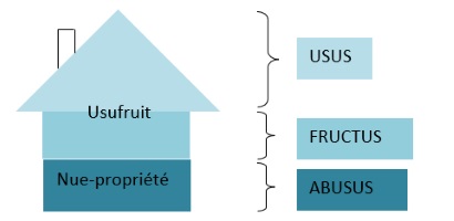 Usufruit de parts sociales : un gros dividende contesté !