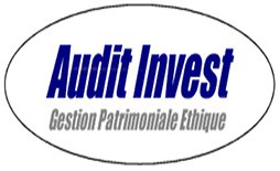 AUDIT INVEST
